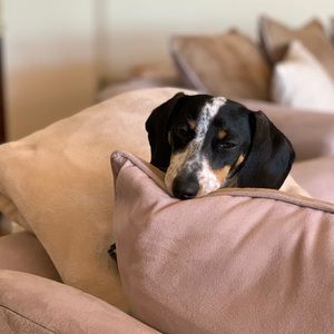 Meet your Posher, Cierra